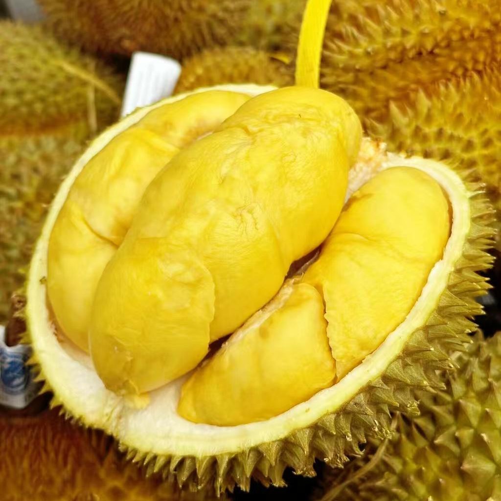 泰国树熟金枕榴莲带壳鲜榴莲/kg（一物一拍）同城配送核小金枕泰国