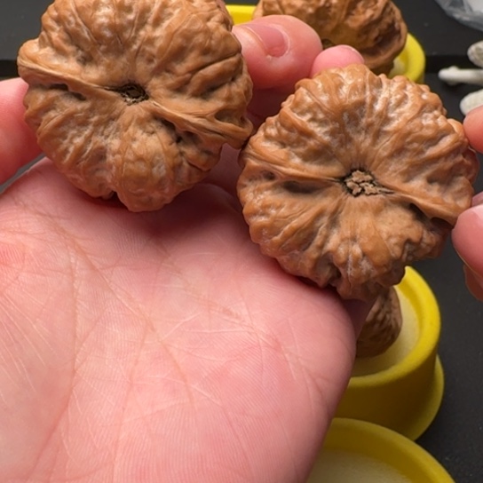 桃核吊坠M文玩核桃文玩核桃