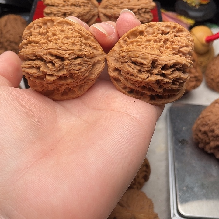 高桩三角天残姜黄皮蚂蚁纹42-42有引黄