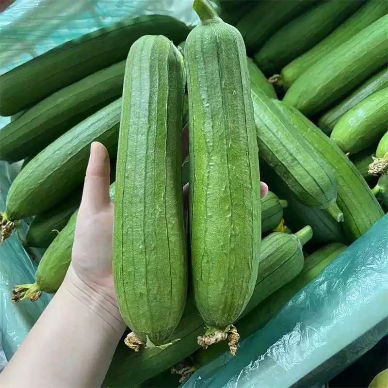 云南山货 老品种丝瓜 卤蛋甄选