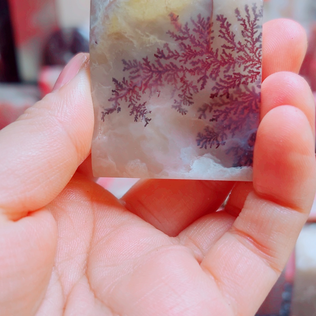 乐***天巴林石巴林水草印章