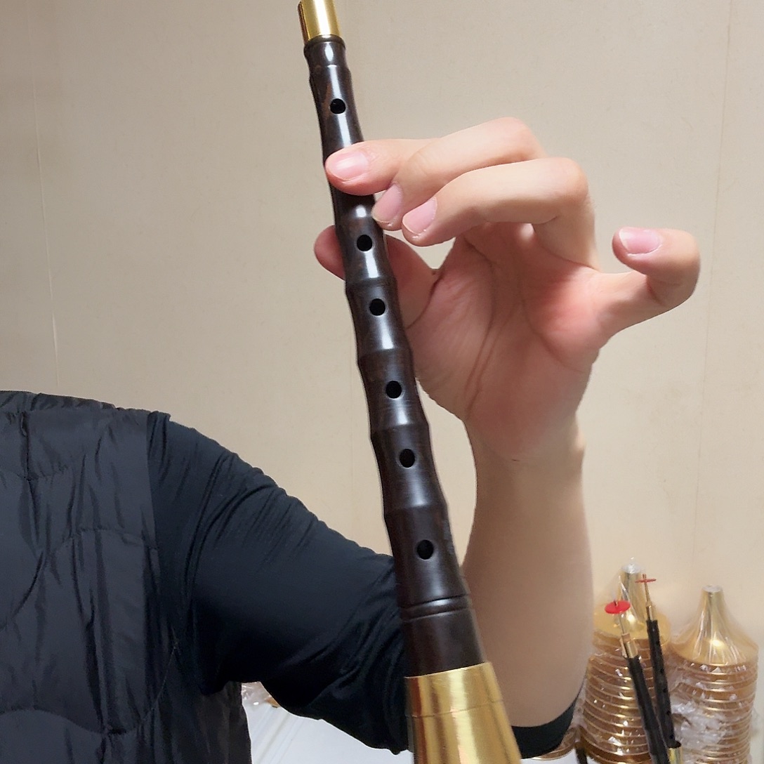 d调专业黑檀特价唢呐