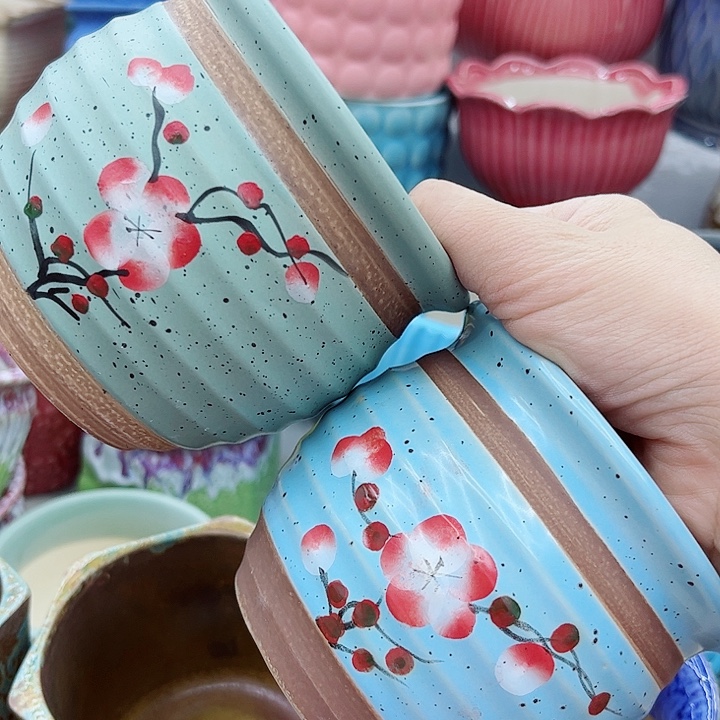 多肉绿植陶瓷花盆9.9包邮，有孔