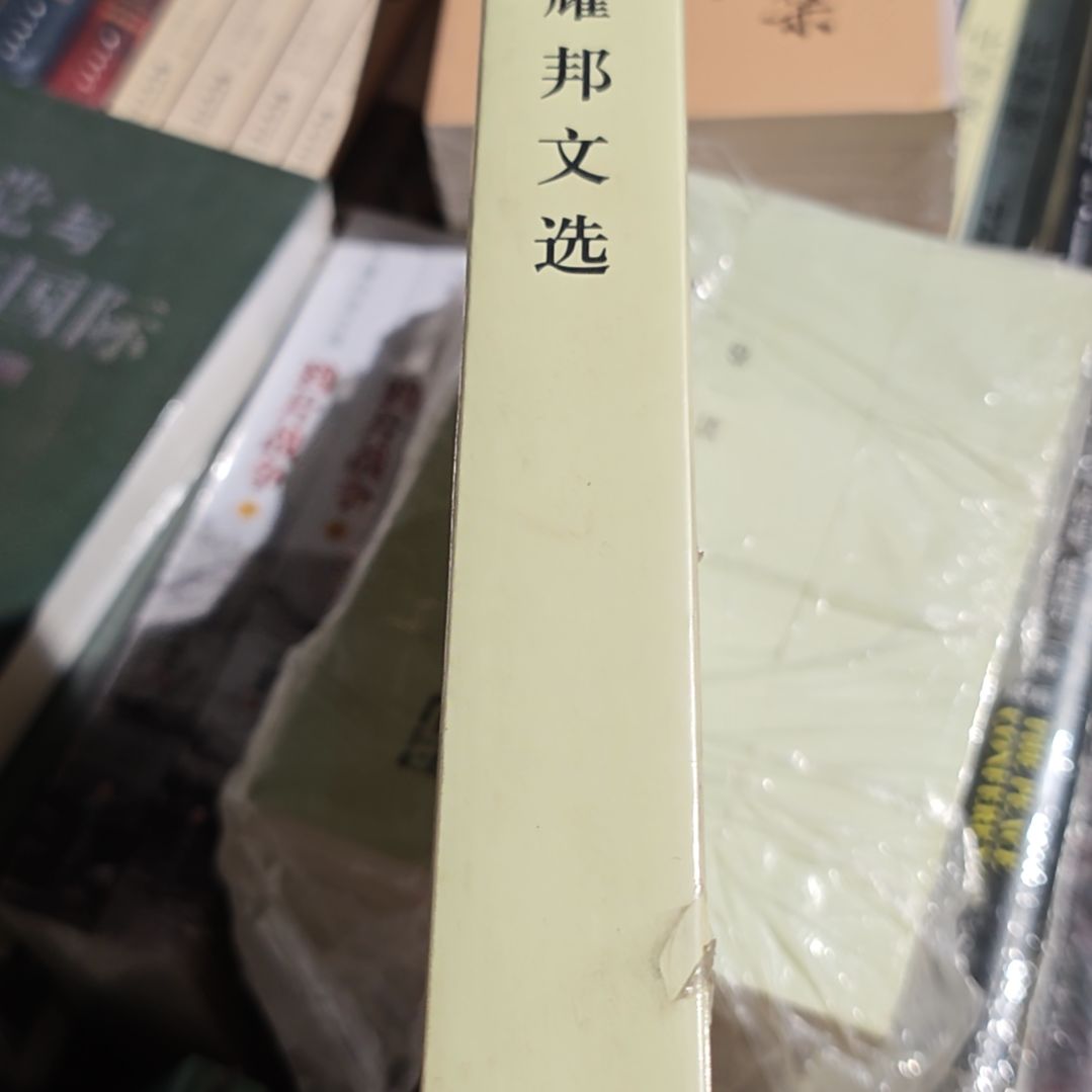 胡什么什么什么文选单册