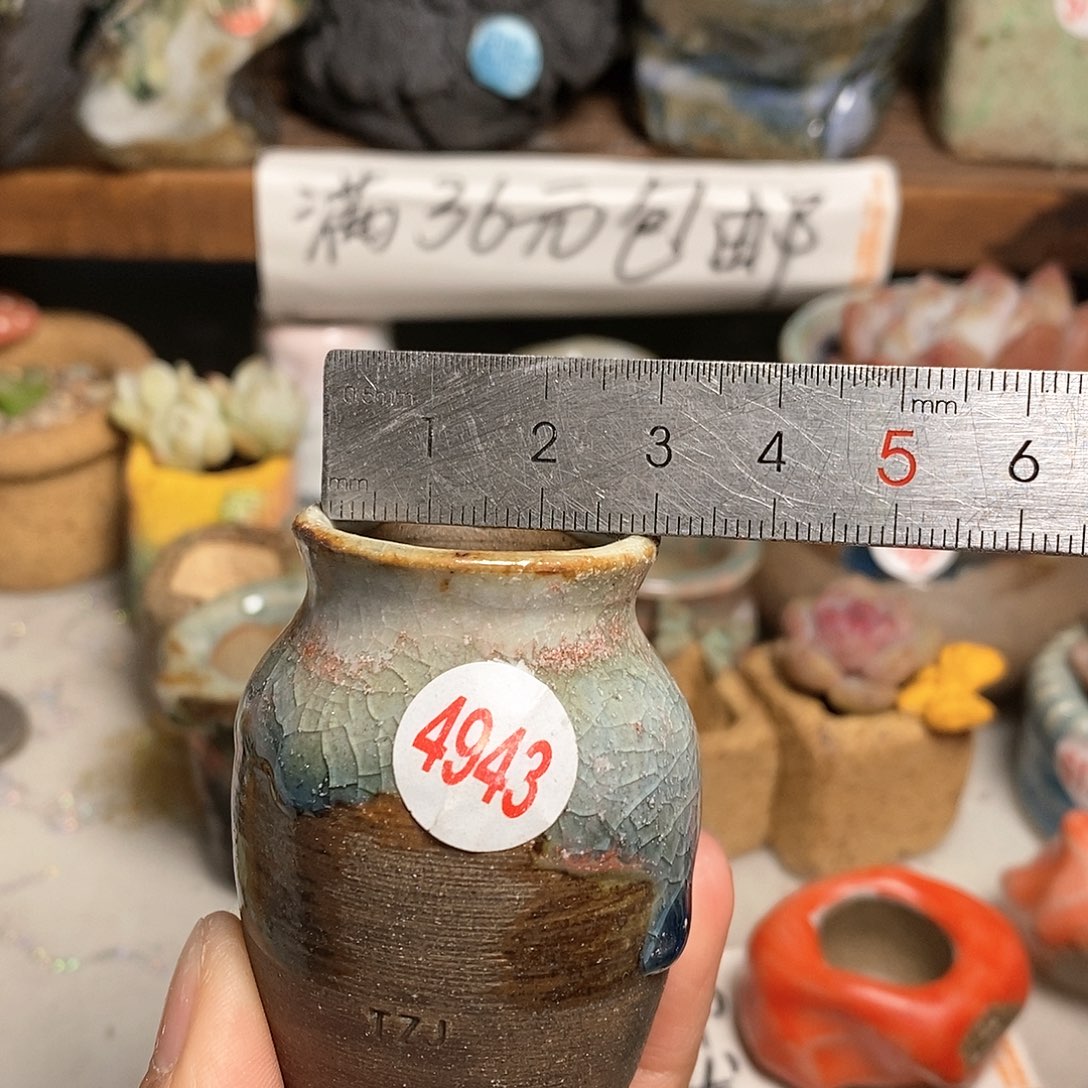 红陶拍5送一个小