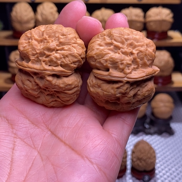 司***葛木质类云铁莽古朱哈微修166号