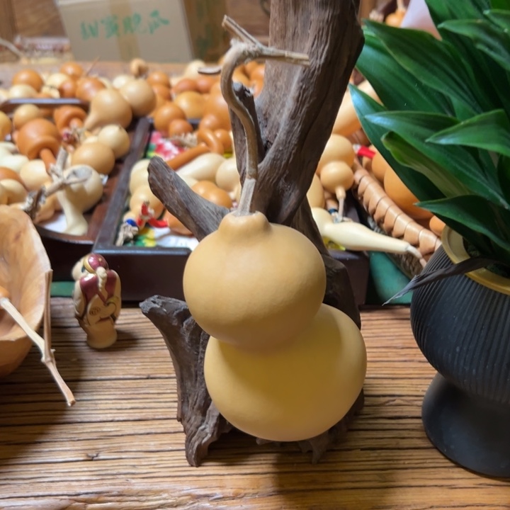 新***秀葫芦岛地区的天气