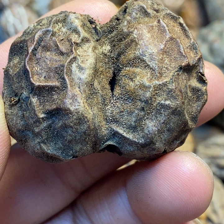 桃核吊坠半壁江山12