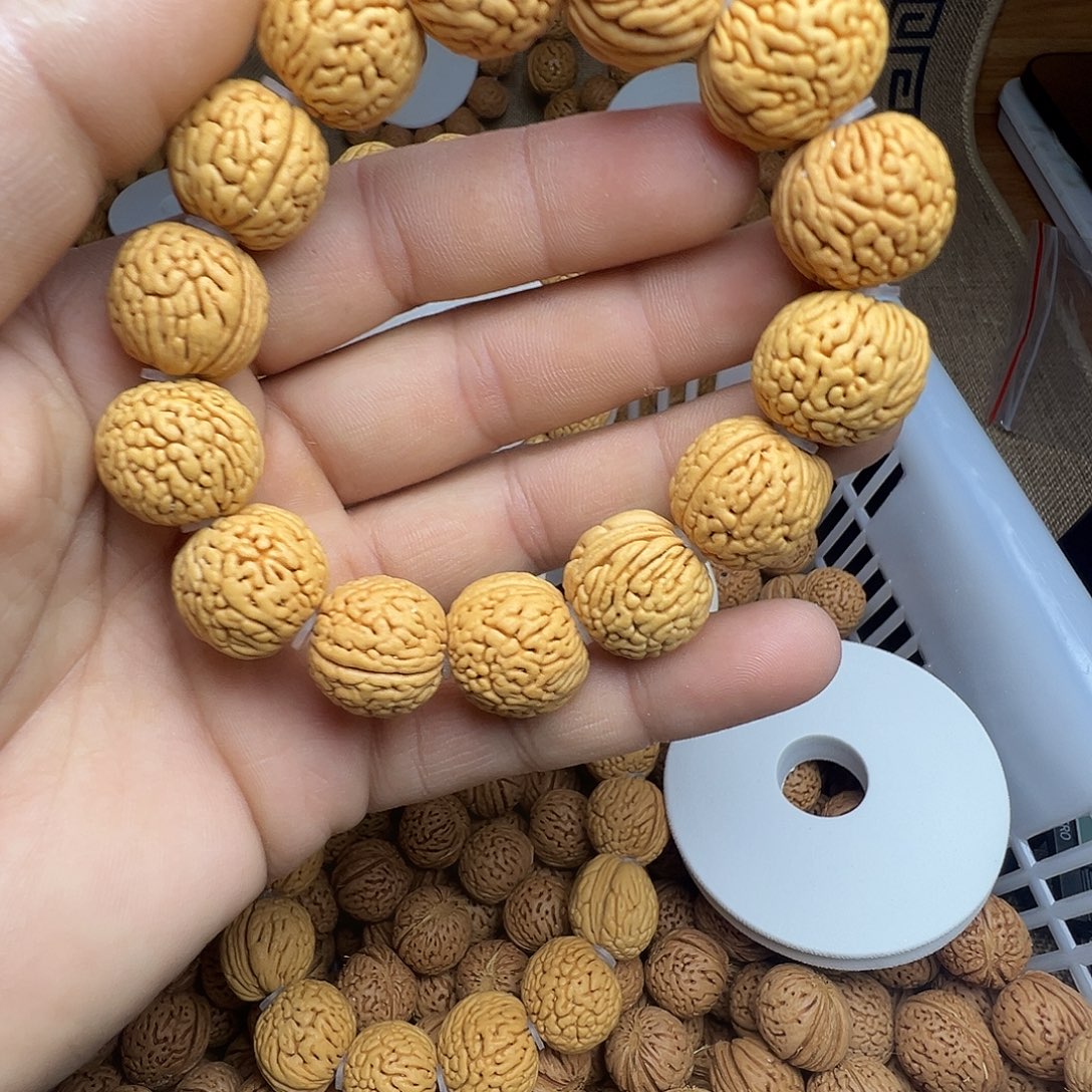 菩提籽类1111111111111