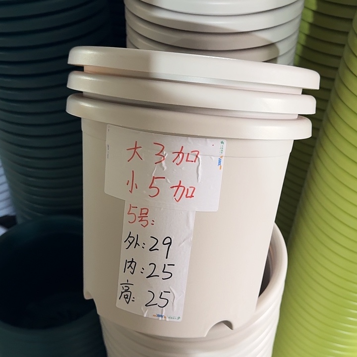 四季5#口径29灰白10个无托