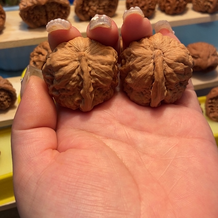 官方网站发布娃娃