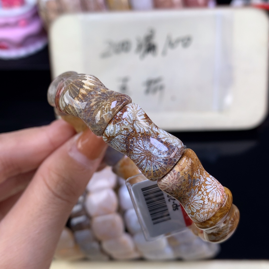 硅化珊瑚（珊瑚玉）未镶嵌吊坠(赠链)漏五折精美手牌（34号）