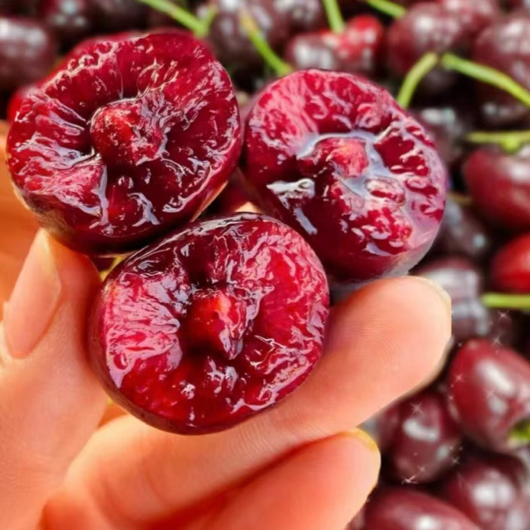 车厘子海运智利桑提娜2J2500g（内无附果径卡）桑提娜樱桃智利共和国