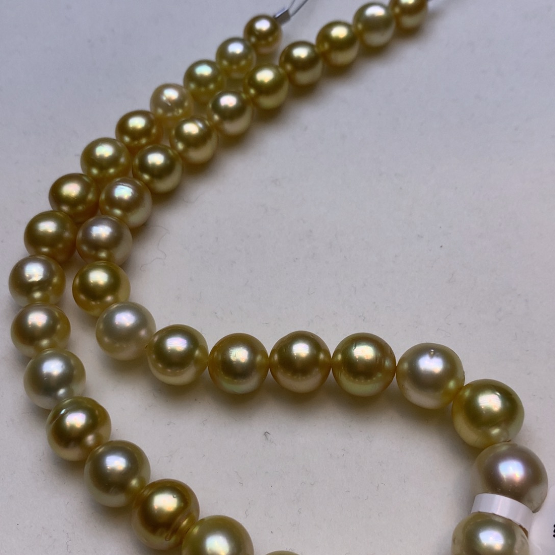 颈饰未镶嵌海水珍珠