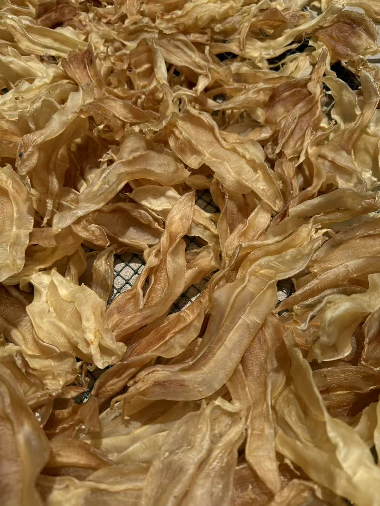 24-25头北海尖尾鱼胶日常滋补炖汤炖甜品佳品