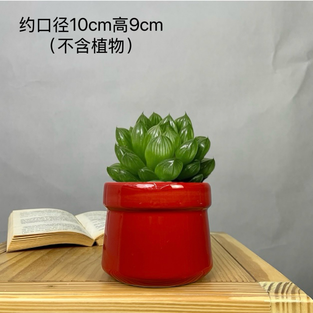 唐印陶瓷多肉植物花盆大红色系无孔小号肉肉盆喜庆简单盆景