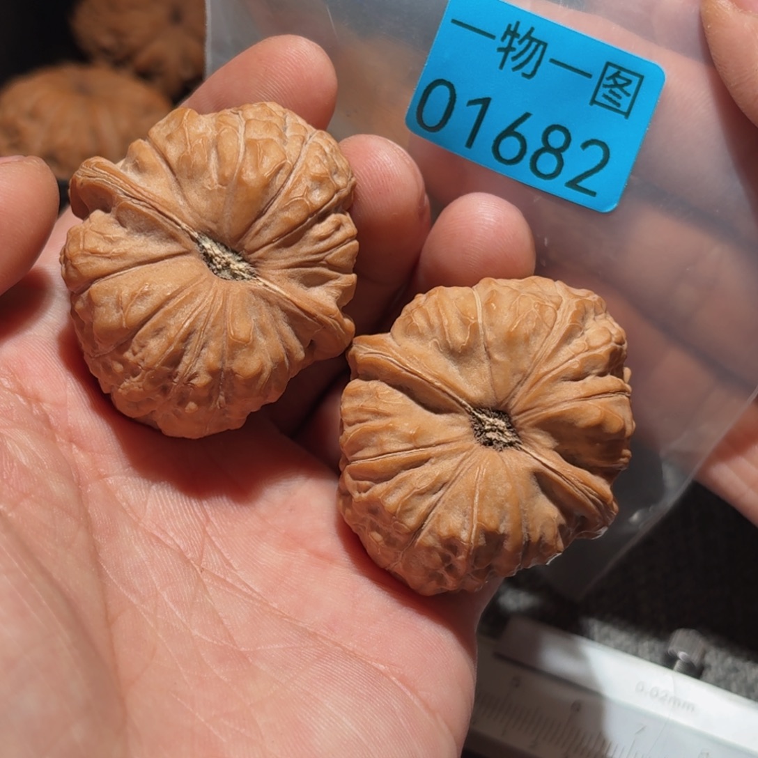 文玩核桃把件南瓜