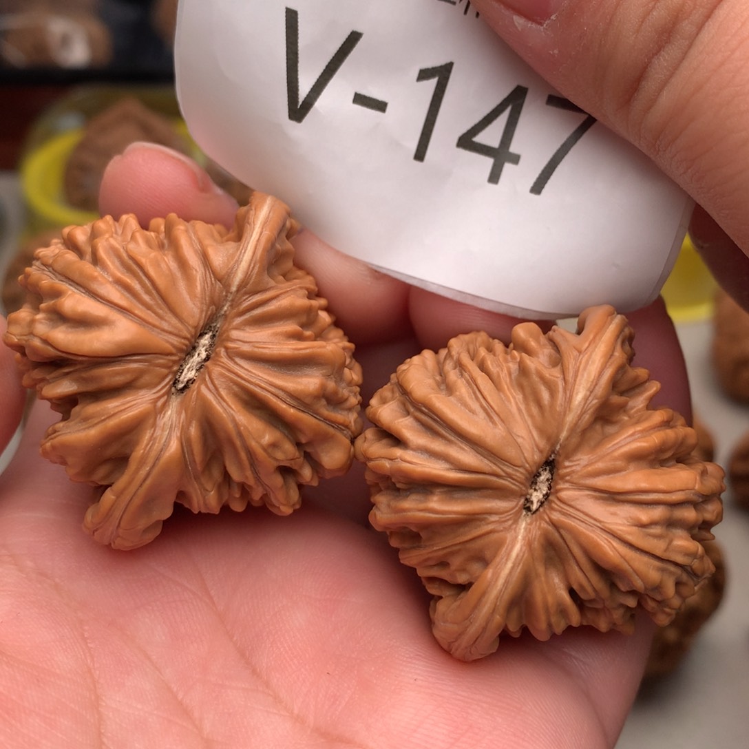 文玩核桃把件42楼…………….