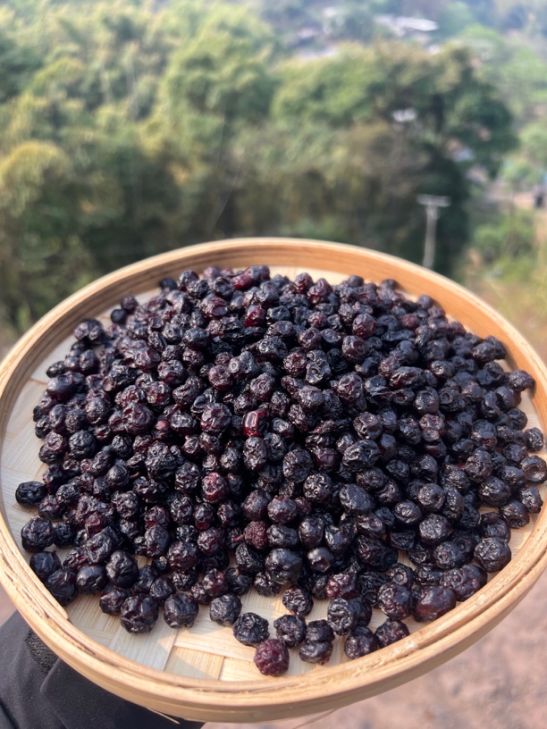 大山深处 农家好吃蓝莓干.