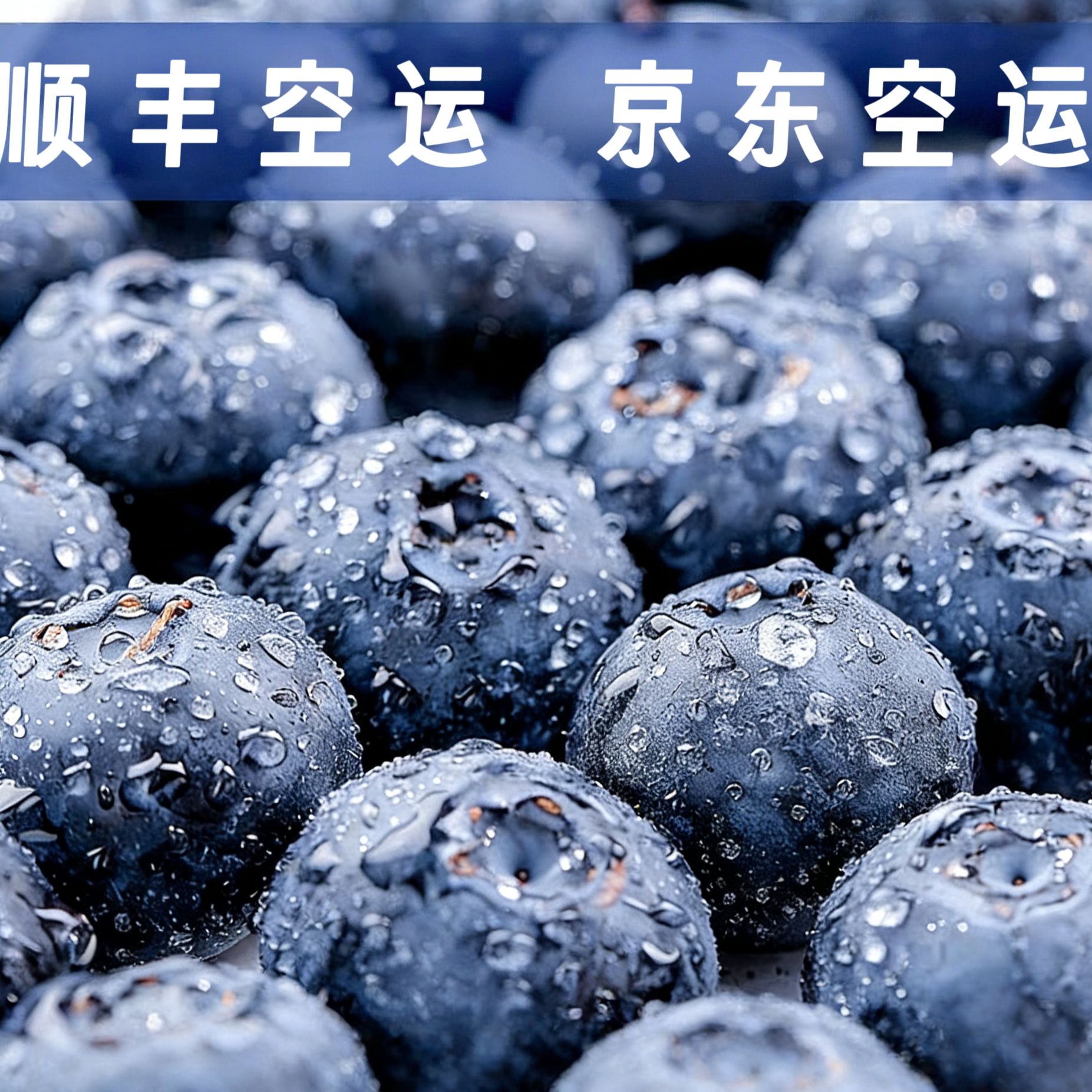 【不支持凑单】【黄梦宇】 云南L25花香蓝莓基地直发