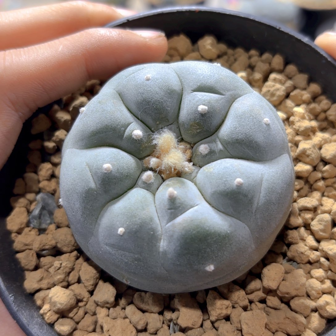 G g g g g g g g g 403