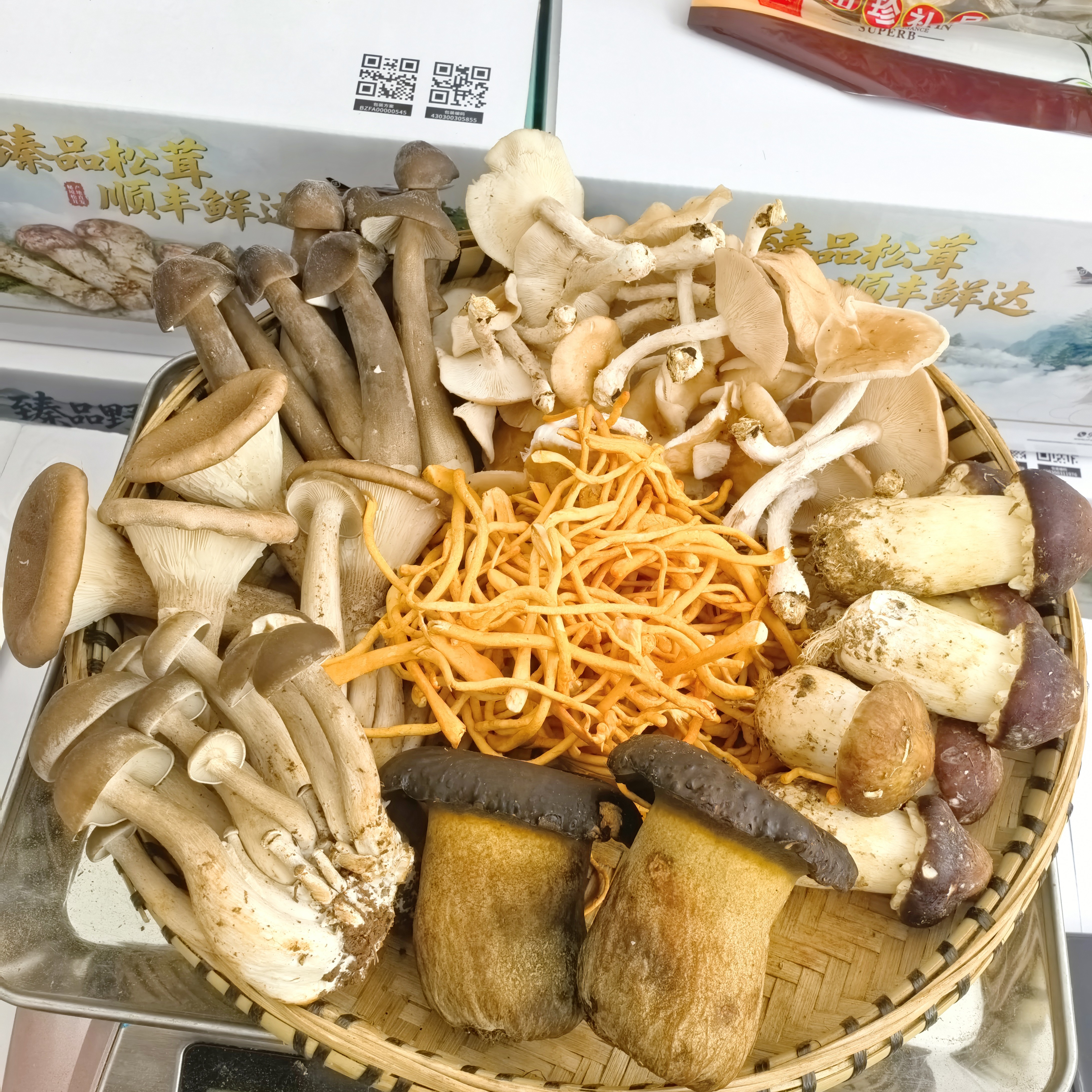 云南新鲜菌菇组合