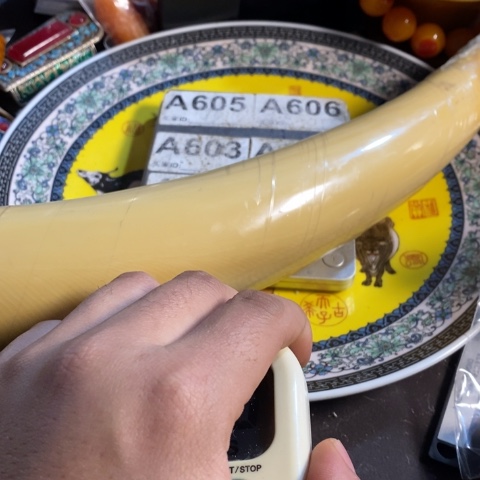 瓷片锋****6寻呼台的一个小女孩在一个