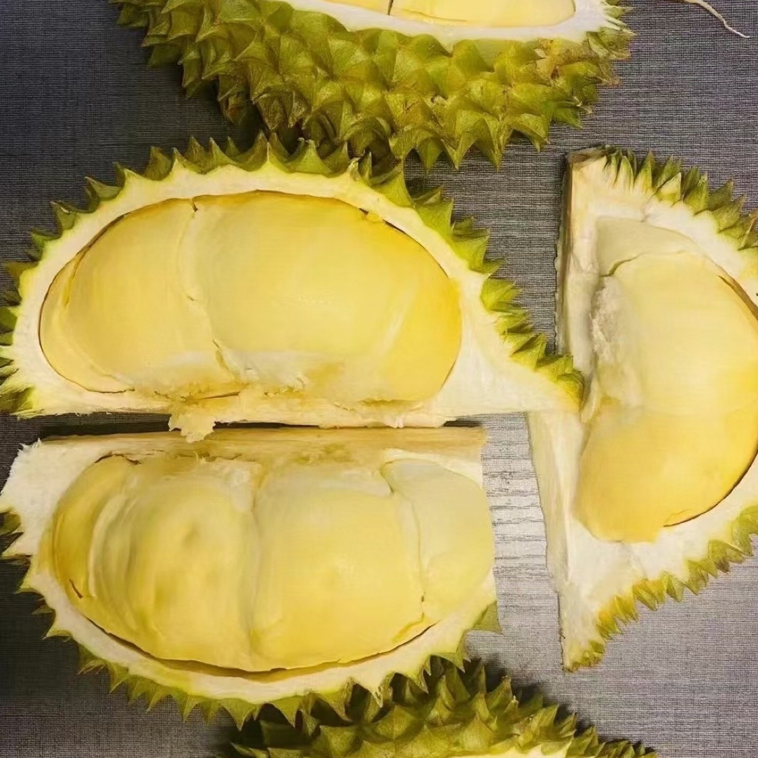 Z空运（一物一拍）泰国金枕榴莲 核小干包黄肉软糯香甜 路上干耗10%