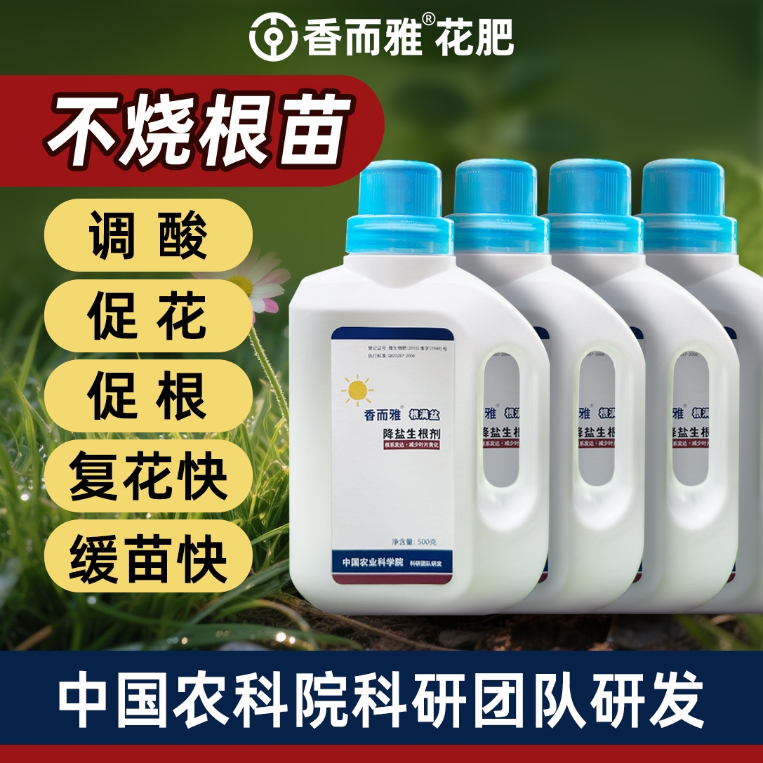 农科院研发香而雅根满盆 降盐碱生根调酸爆花复花快克服焦尖僵苗