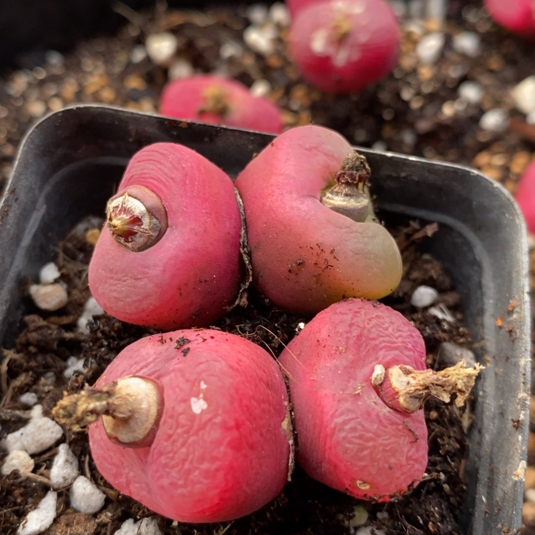 ?****～14127一组一组一组