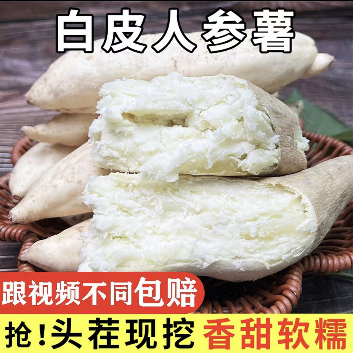 【坏果包赔】白皮人参薯白心板栗薯红薯新鲜现挖白皮白心板栗薯番薯