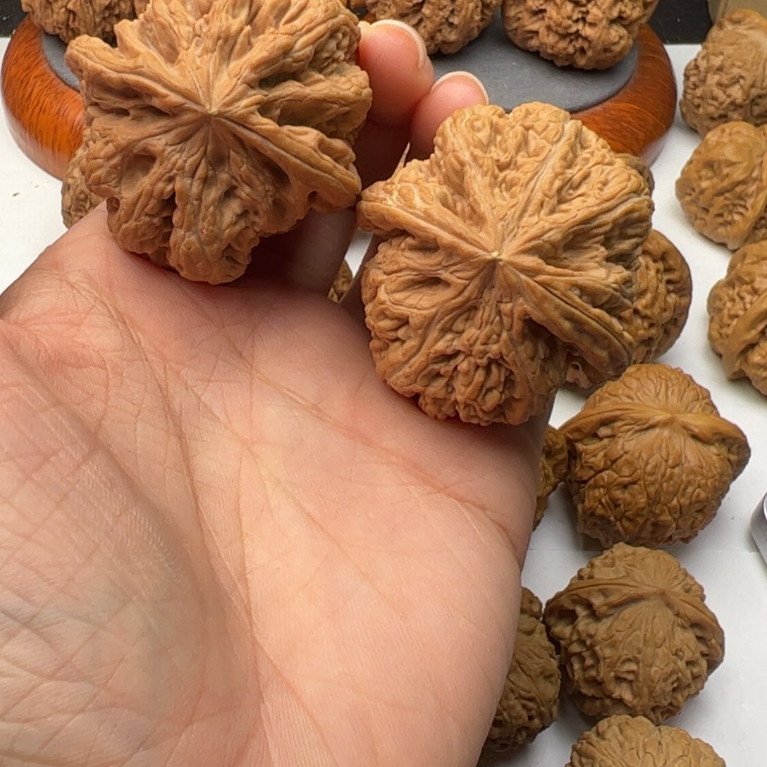 文玩核桃吊坠42粗筋全品