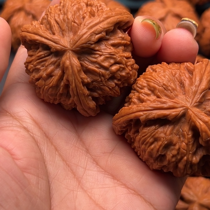 T***Y吊坠文玩核桃88888888888