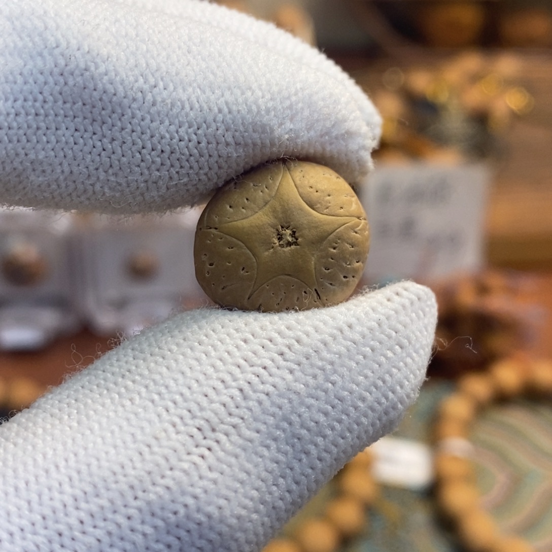 吊坠凤眼菩提五星