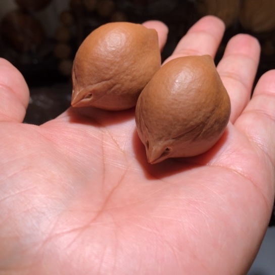 吊坠橄榄核小鸟橄榄