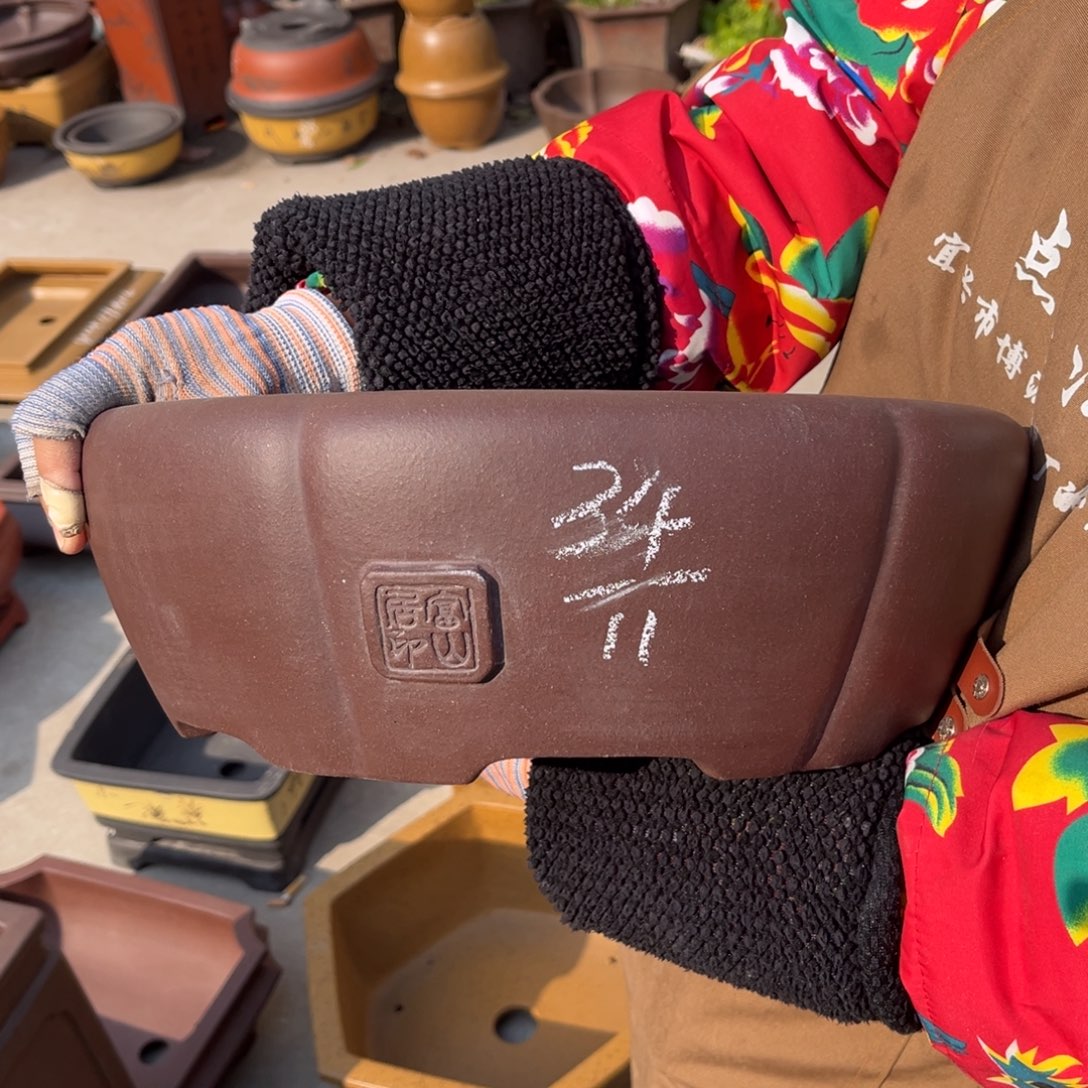 紫砂花盆盆景艺术