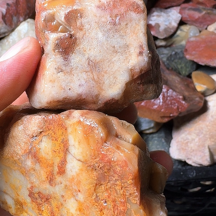 黄***祯寿山石寿山石的种类