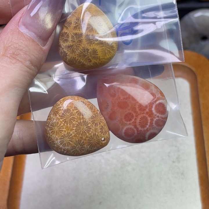 未镶嵌吊坠硅化珊瑚（珊瑚玉）