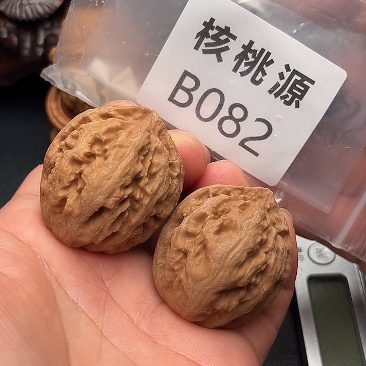 文玩核桃吊坠霸王龙35+
