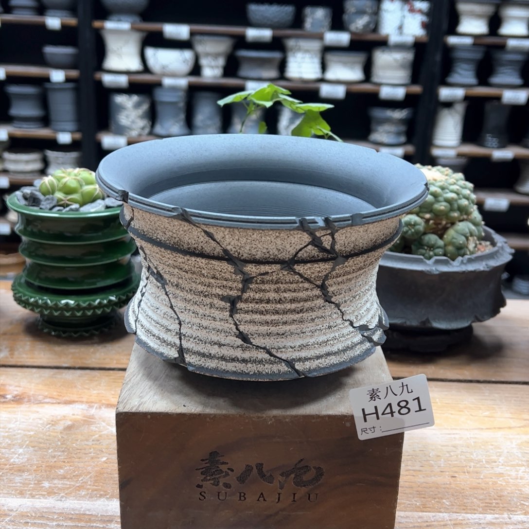 素八九陶瓷内口17.5高11