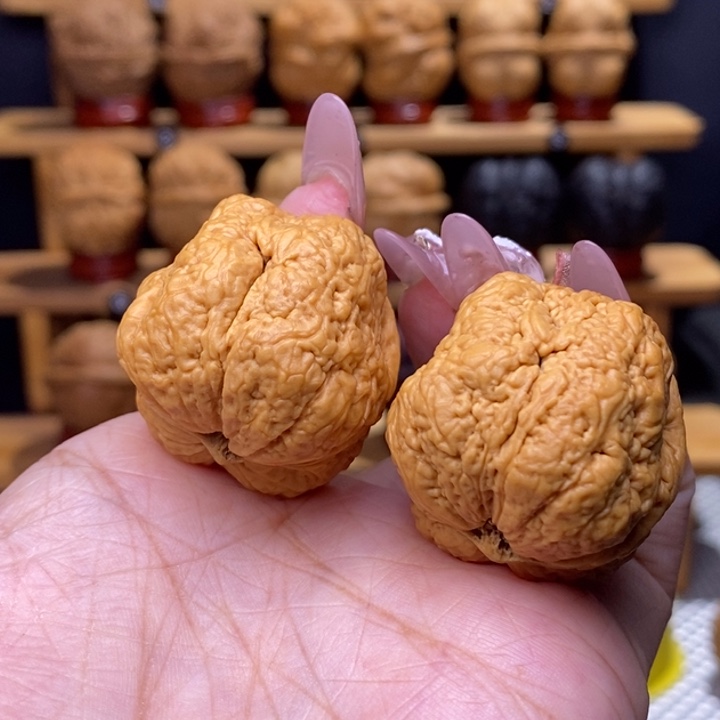 文玩核桃把件小平头蝉18号