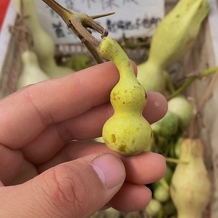 记*哈哈哈哈哈哈哈哈哈哈