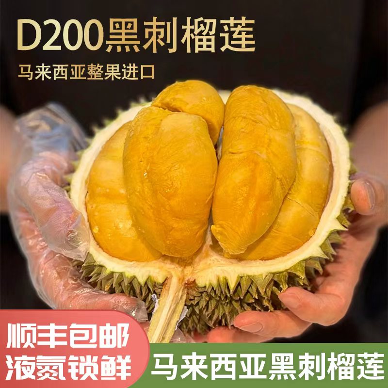 源头产地进口马来西亚黑刺D200液氮榴莲锁鲜整果软糯香甜