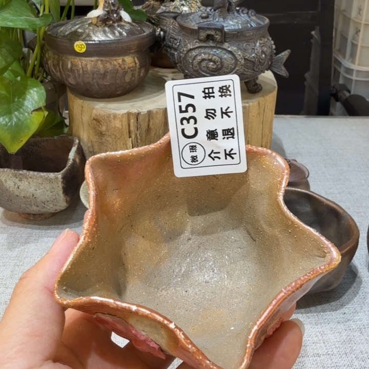 陶盘柴烧福利洗片多多