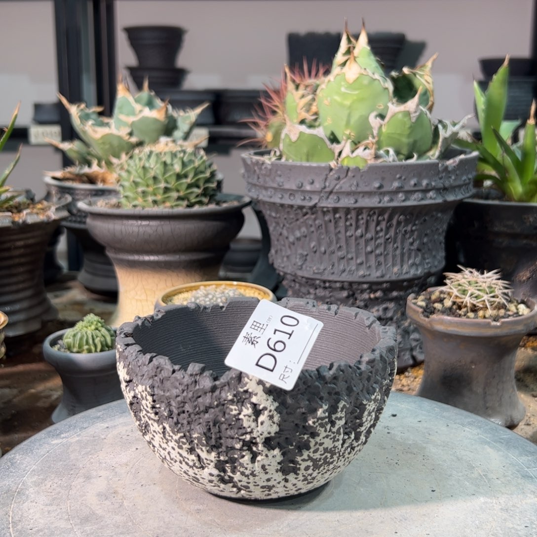 景德镇手工素里包括12高7.5