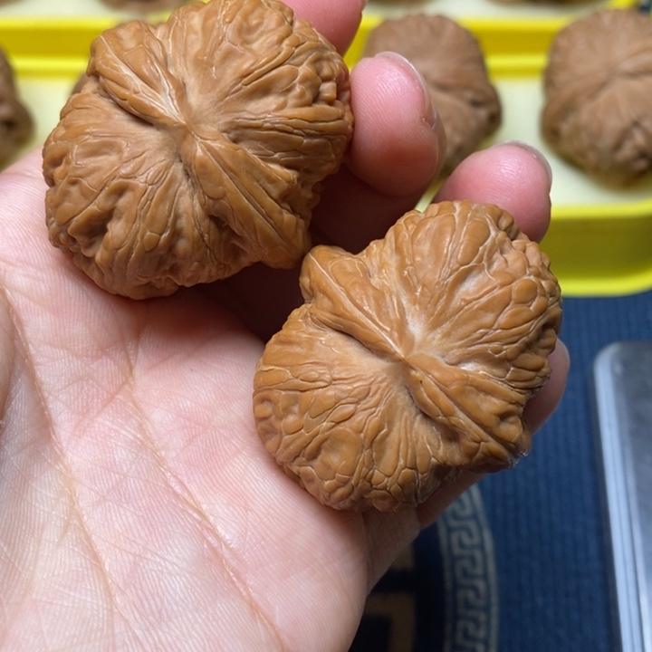 文玩核桃全品元宝42