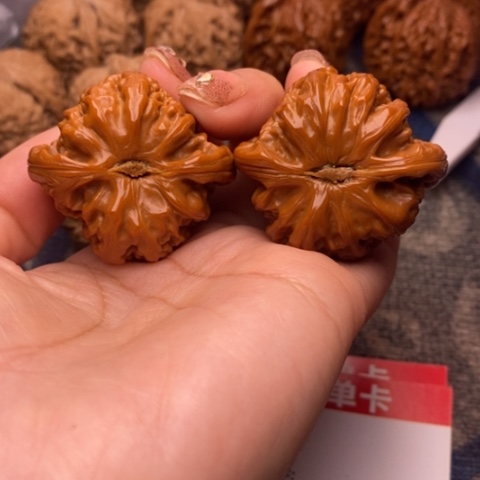 把件文玩核桃        白狮子