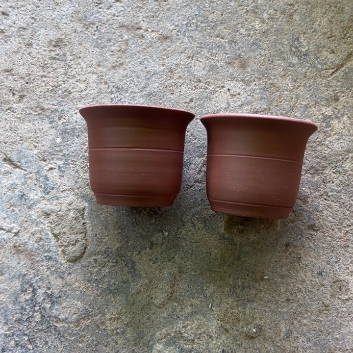 春*冬我们的生活是以自己