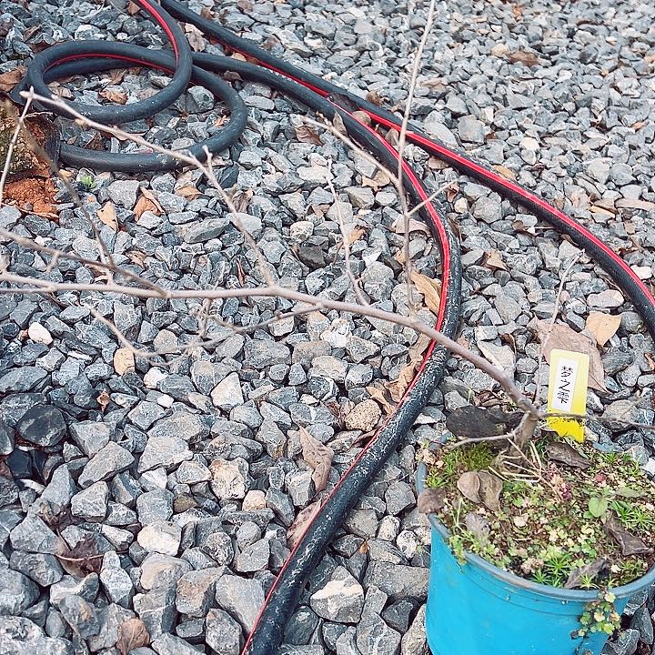 朐***哥无花朵哈哈哈哈哈哈哈