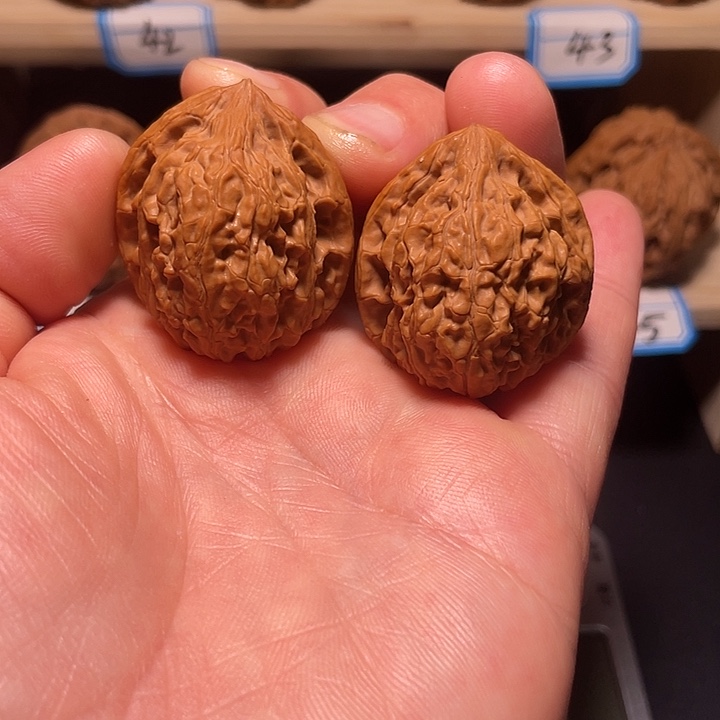 吊坠文玩核桃小野生32尺寸